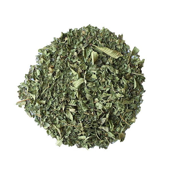 Verveine