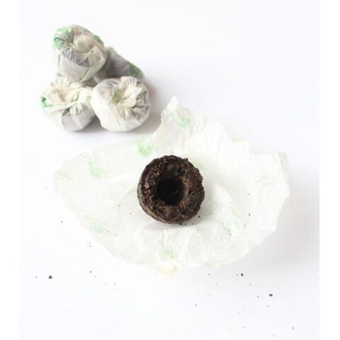 Pu-Erh mini Tuo Cha