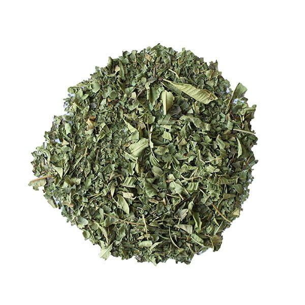 Verveine